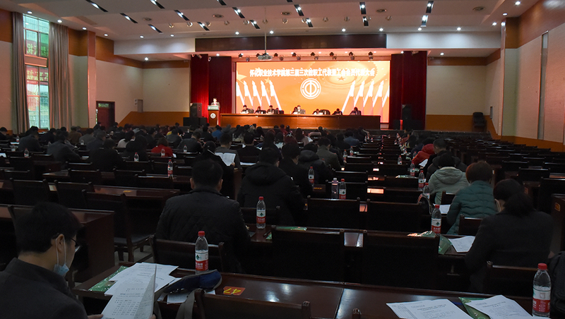 1585467260251070035.jpg 7.jpg